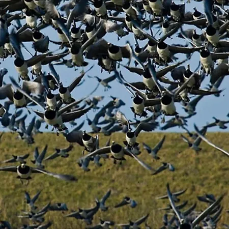 Ballum Slusekro Bredebro