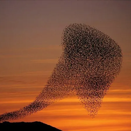 Ballum Slusekro Casa de hóspedes *